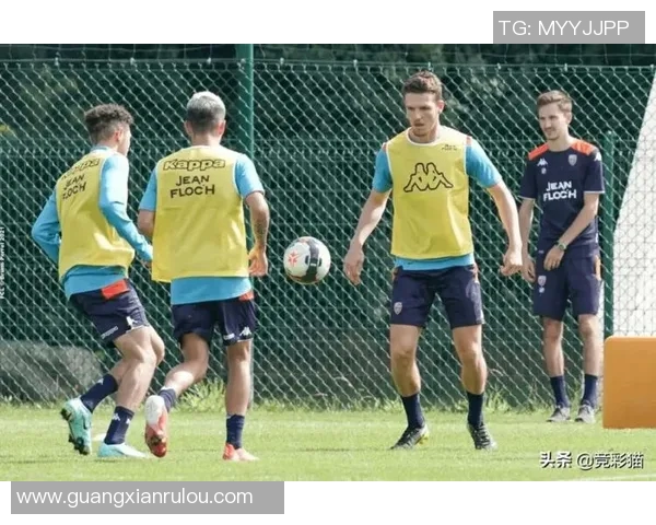 主场龙属性解析如何影响球队表现与胜率的深度研究