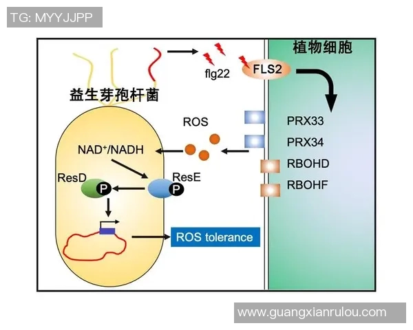 Zika病毒下的鳄鱼抗压能力研究揭示其生存智慧与适应机制