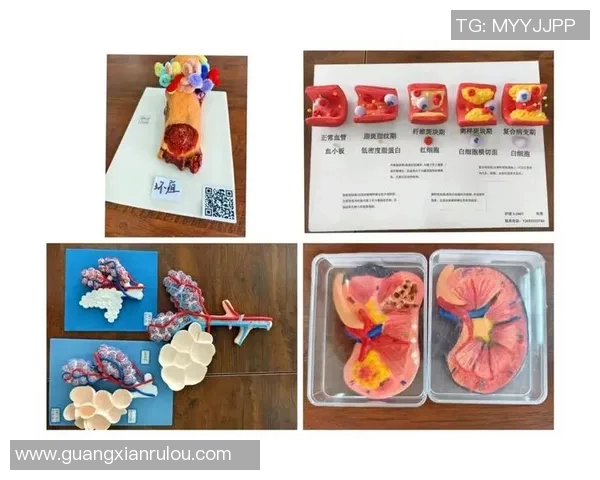 萝卜最长控制的奥秘与实践探索之路